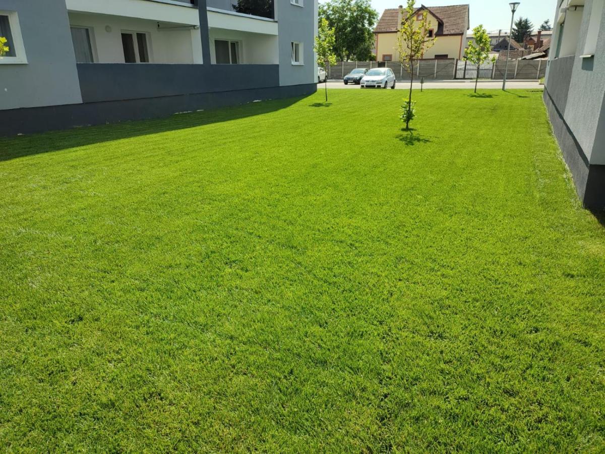 Hunyadi Luxury Kogalniceanu Sibiu Extérieur photo