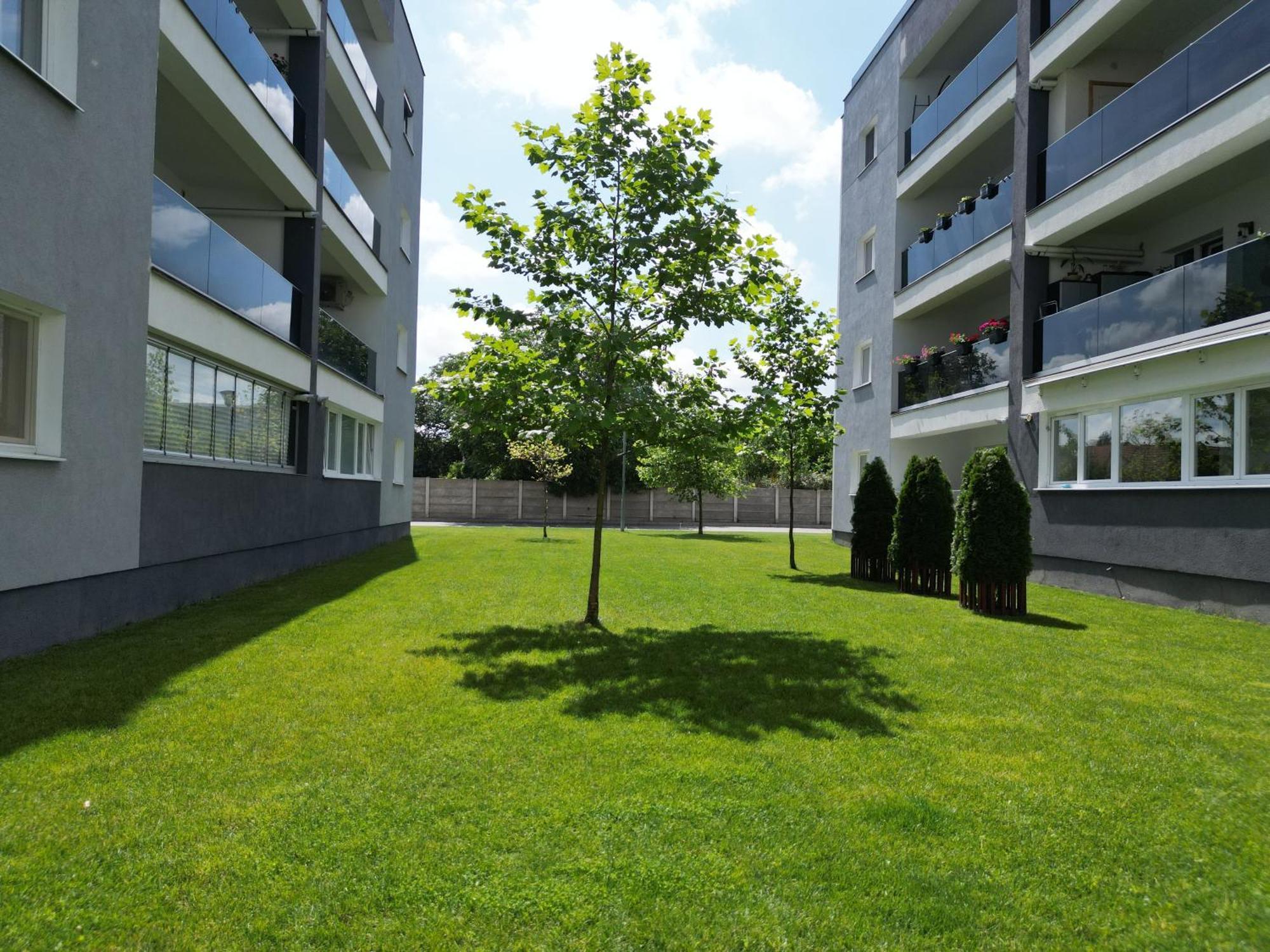 Hunyadi Luxury Kogalniceanu Sibiu Extérieur photo
